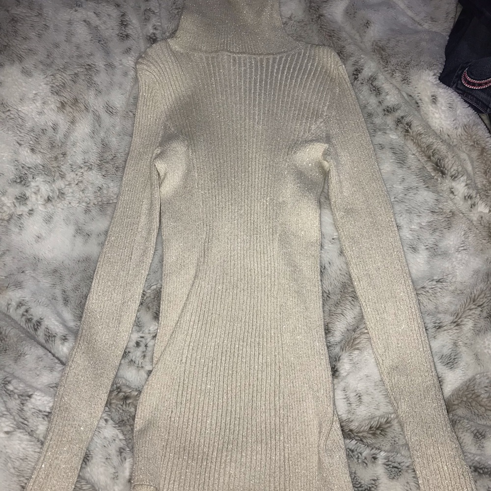 Express Turtle Neck Long Top/ Short Dress